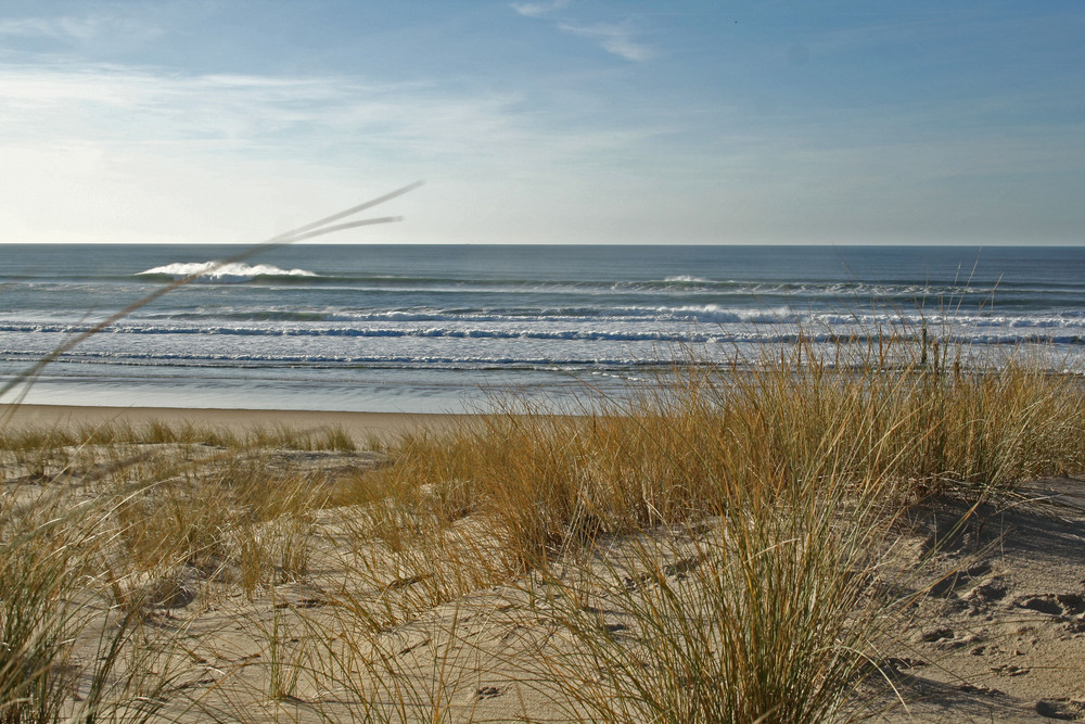 Depuis la dune