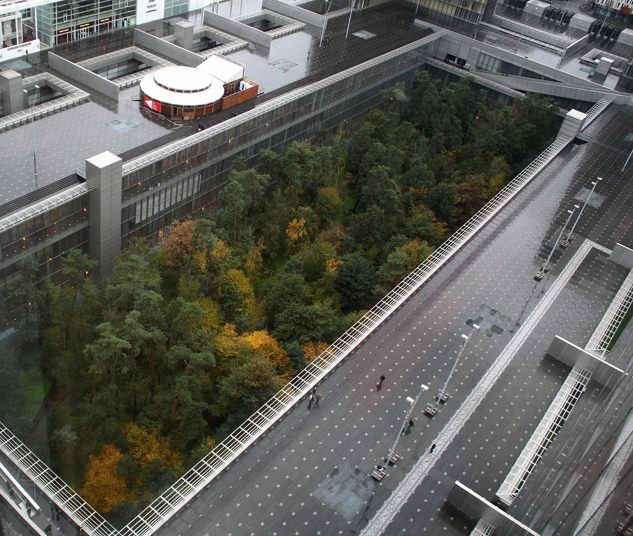 Depuis le dernier étage de la tour ouest de la TGB (11). Le parvis et le bois entre les 4 tours