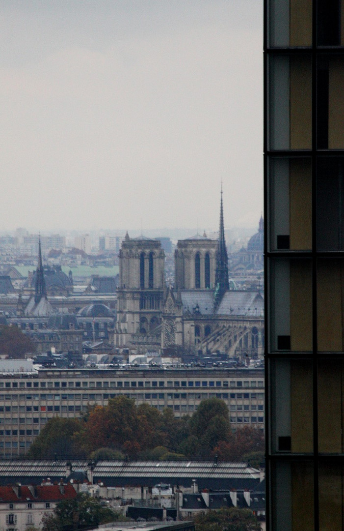 Depuis le dernier étage de la tour ouest de la TGB (16). Notre-Dame