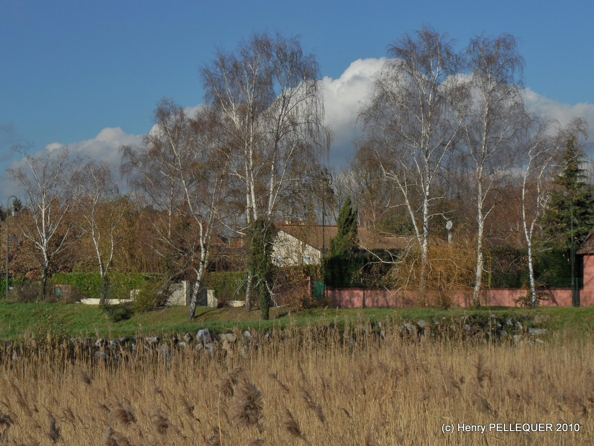 Depuis notre maison!