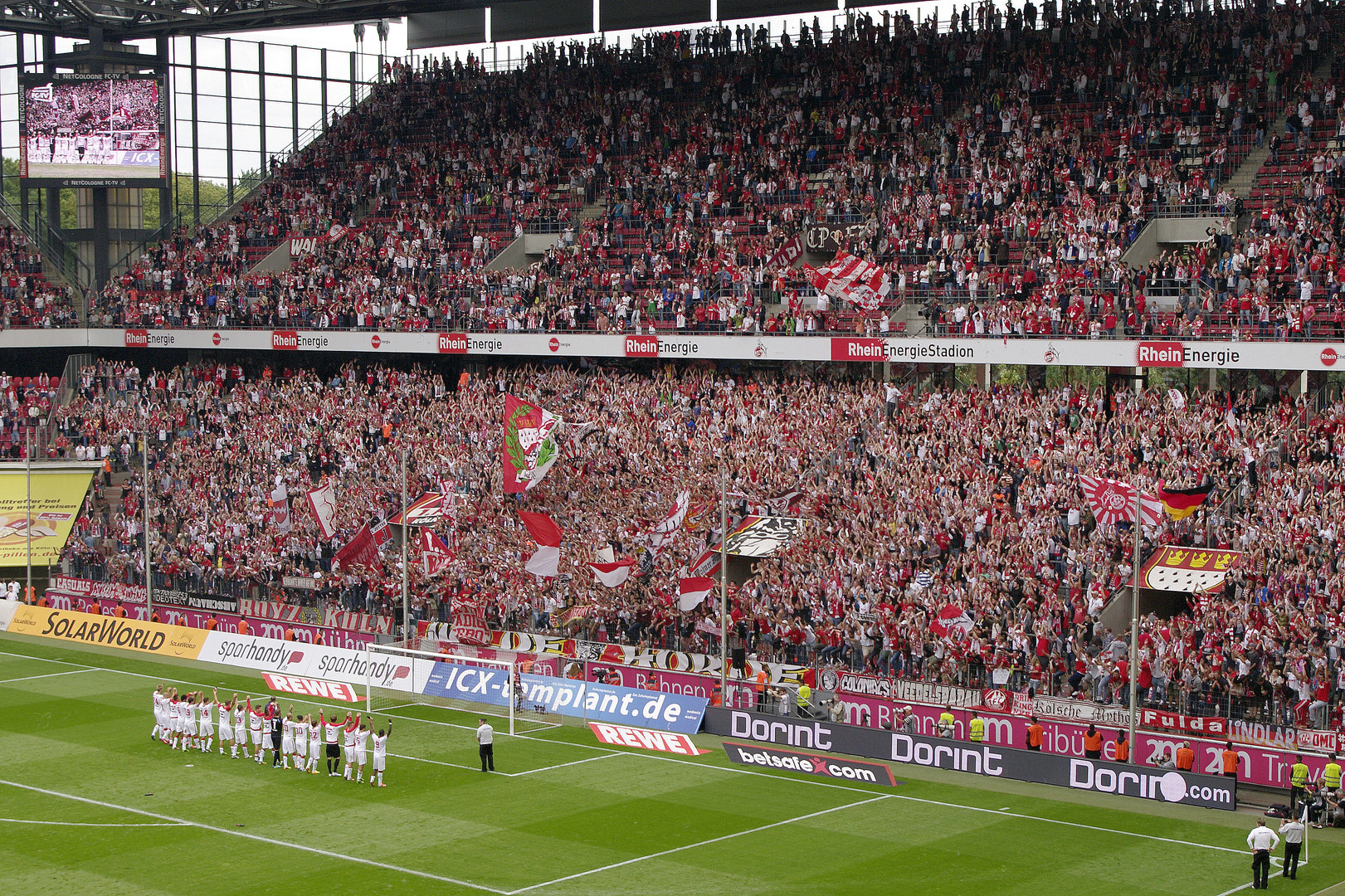 Der 1. FC Köln auf den Weg zurück