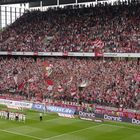 Der 1. FC Köln auf den Weg zurück