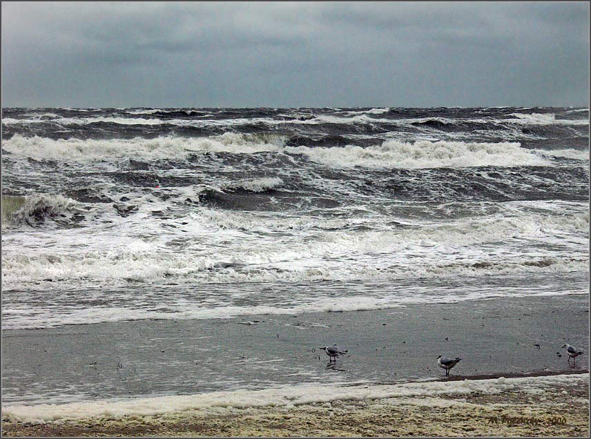 Der 1. Herbststurm vor Warnemünde