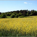 der 1. mai war ein schöner tag!