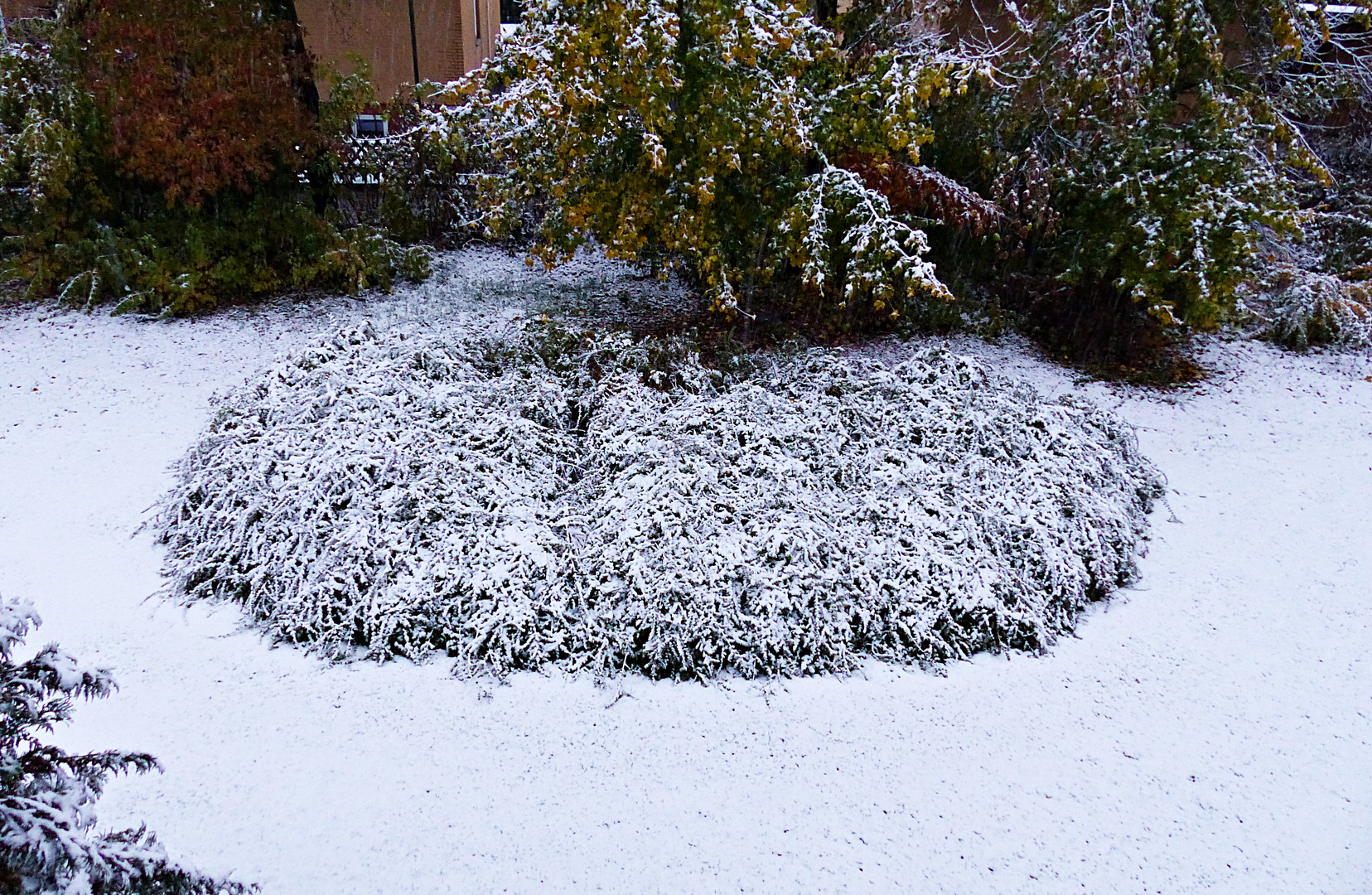 Der 1. Schnee 2018