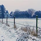 Der 1. Schnee im neuen Jahr 2017 ...