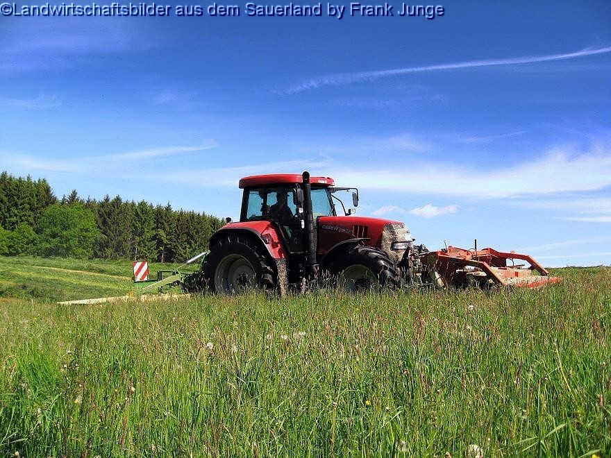 Der 1. Schnitt im Siegerland