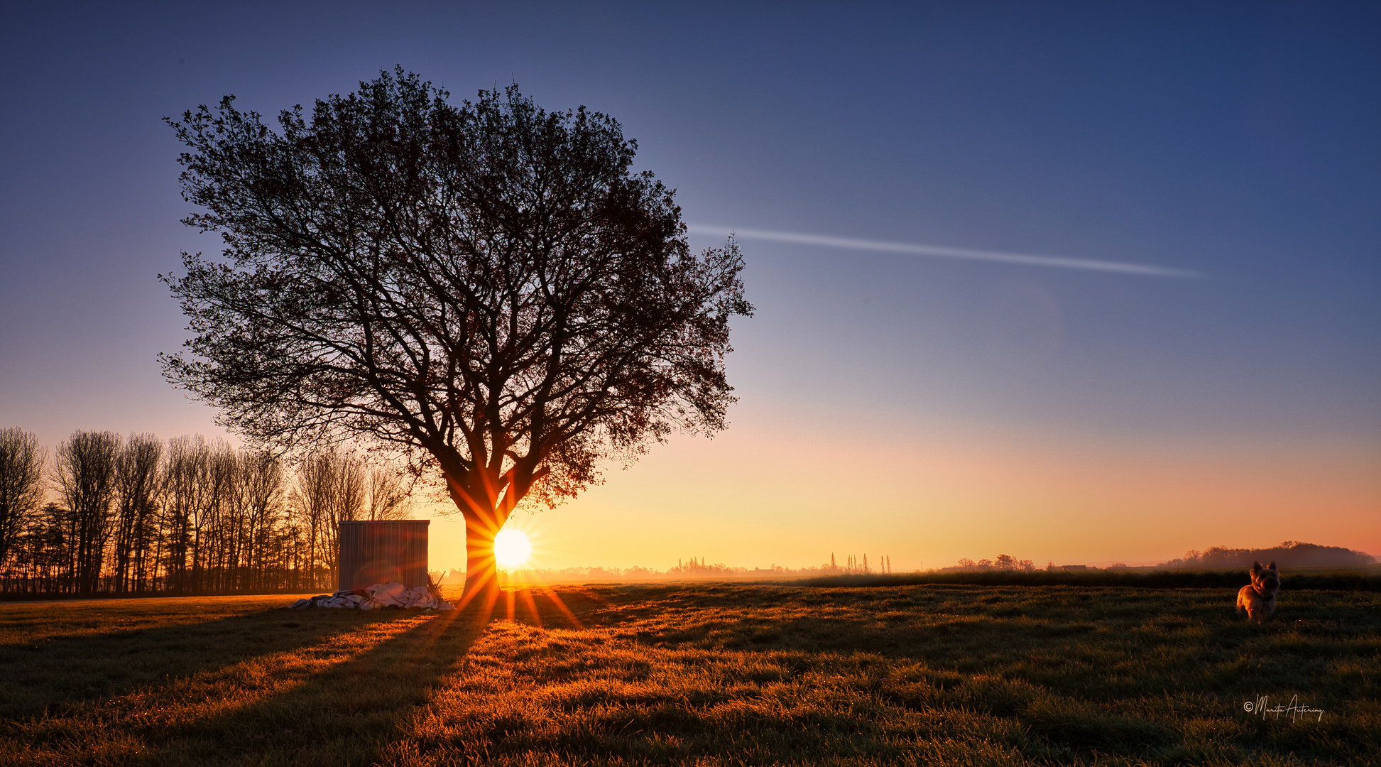 Der 1. Wintertag bei -2° und Sonnenaufgang