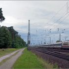 Der 118 auf der Riedbahn