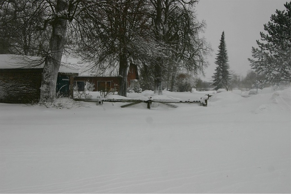 der 2. Schneesturm 2010_05