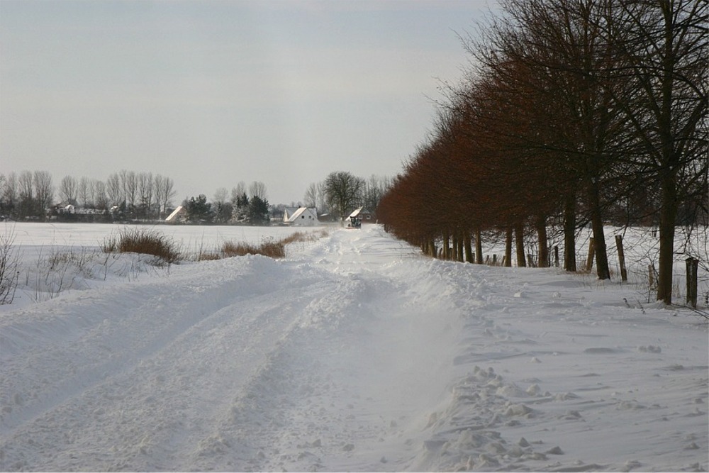 der 2. Schneesturm 2010_06