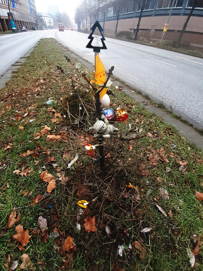 Der 365/7/24  Lieblingsweihnachtsbaum der Hamburger