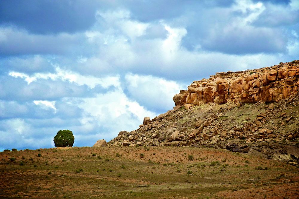 Der 4. Baum im Monument Valley