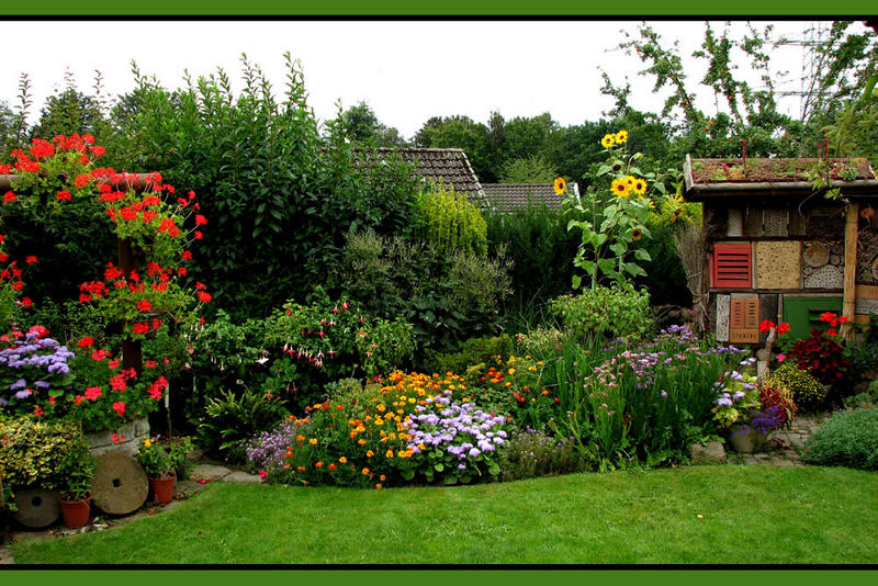 Der 4. schönste Schrebergarten in MGL mit "Bienenhotel" Foto & Bild