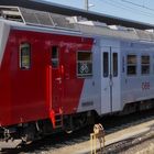 Der 4020 318 im Bahnhof St. Pölten