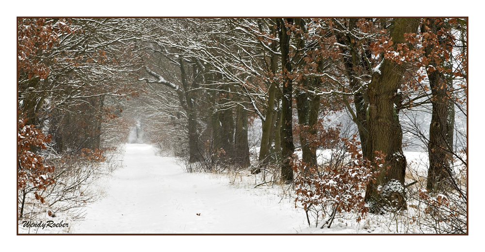 Der '48 Stunden' Winter