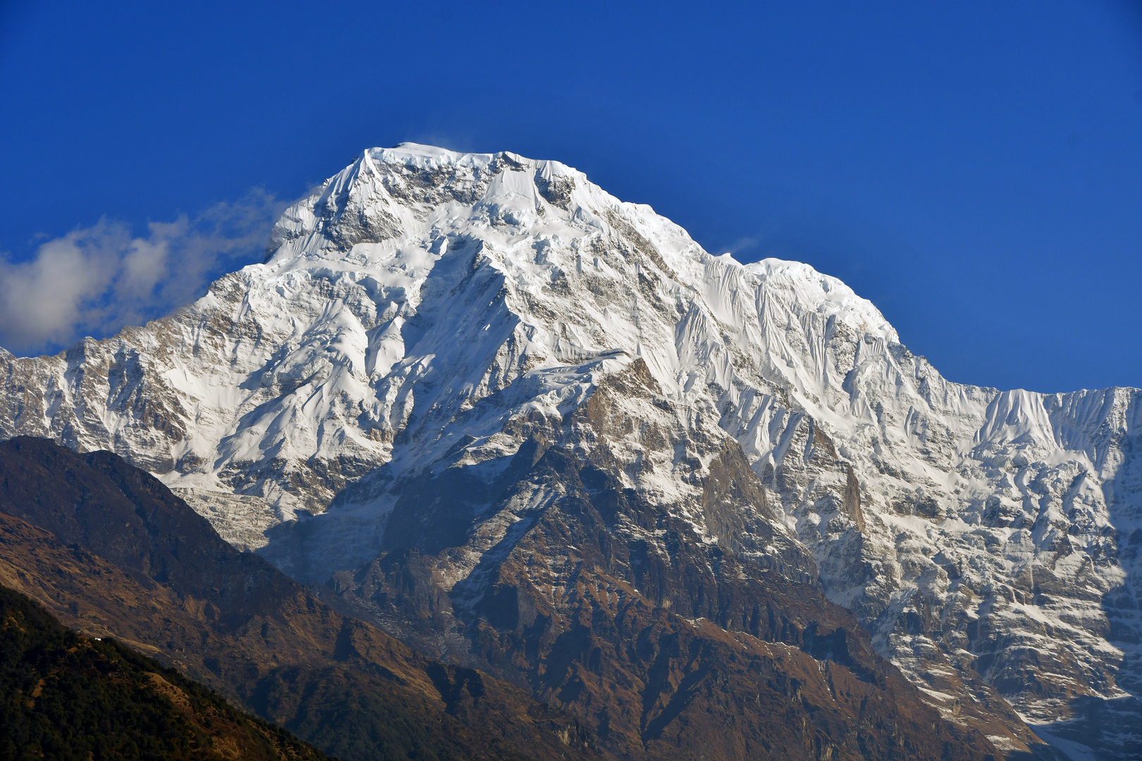 Der 7219 m hohe Annapurna South vom Bergdorf Ghandruk