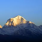 Der 8167 m hohe Dhaulagiri vom Aussichtspunkt Poon Hill 