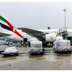 Der A 380 am Gate bei der Beladung für den Rückflug