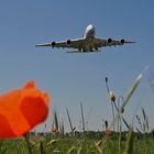 Der A 380 im Anflug auf den Flughafen Baden-Baden