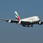 Der A380 im Halbprofil