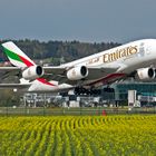 Der A380 in ZRH