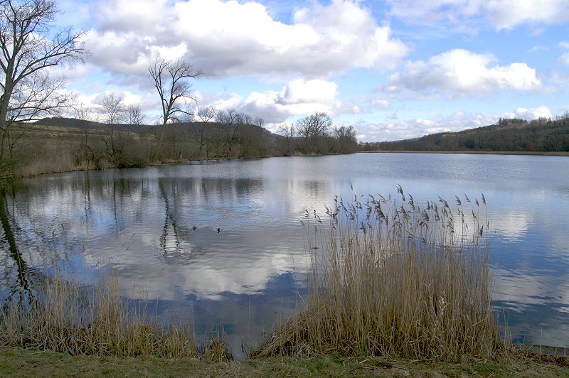 Der Aalkistensee bei Maulbronn