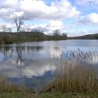 Der Aalkistensee bei Maulbronn