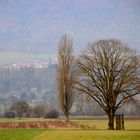 Der Aare entlang durch die Natur und Kulturlandschaft