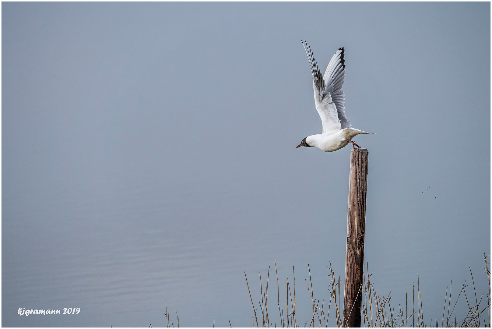 der ab-flug.....