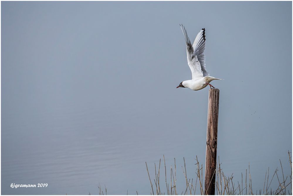 der ab-flug.....