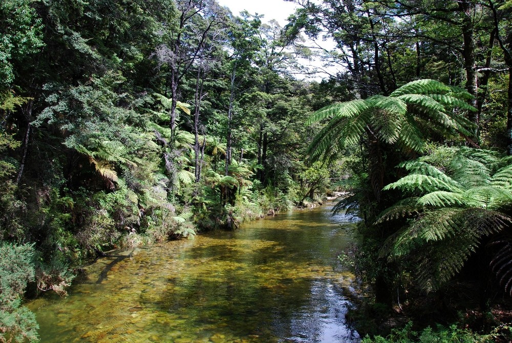 Der Abel Tasman Walk - Natur pur - Neuseeland 2009