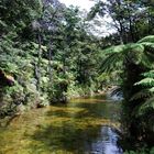 Der Abel Tasman Walk - Natur pur - Neuseeland 2009