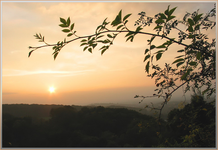 "Der Abend..."