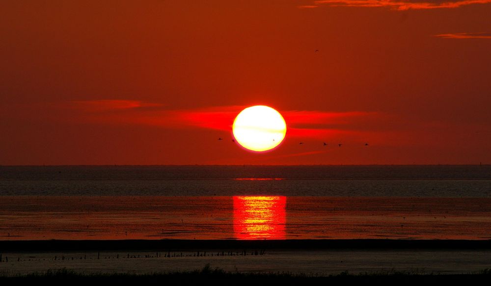 Der Abend am Wattenmeer.....heute 21:50........