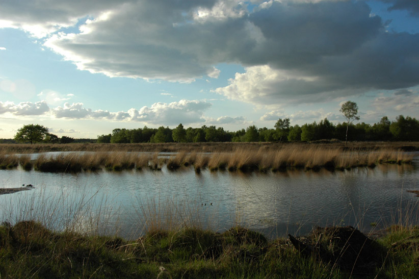 Der Abend faellt uebers Moor