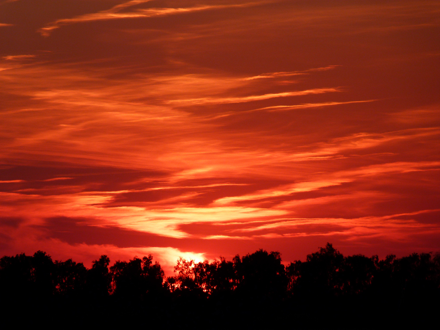 Der Abend Himmel am Steinhuder Meer.