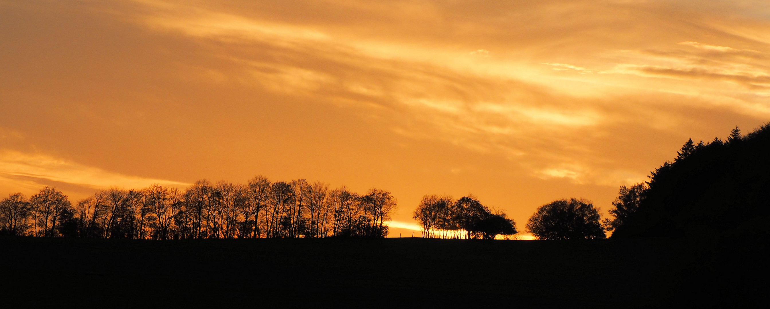 Der Abend kommt ... 