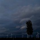 der Abend kommt, der Wind geht..