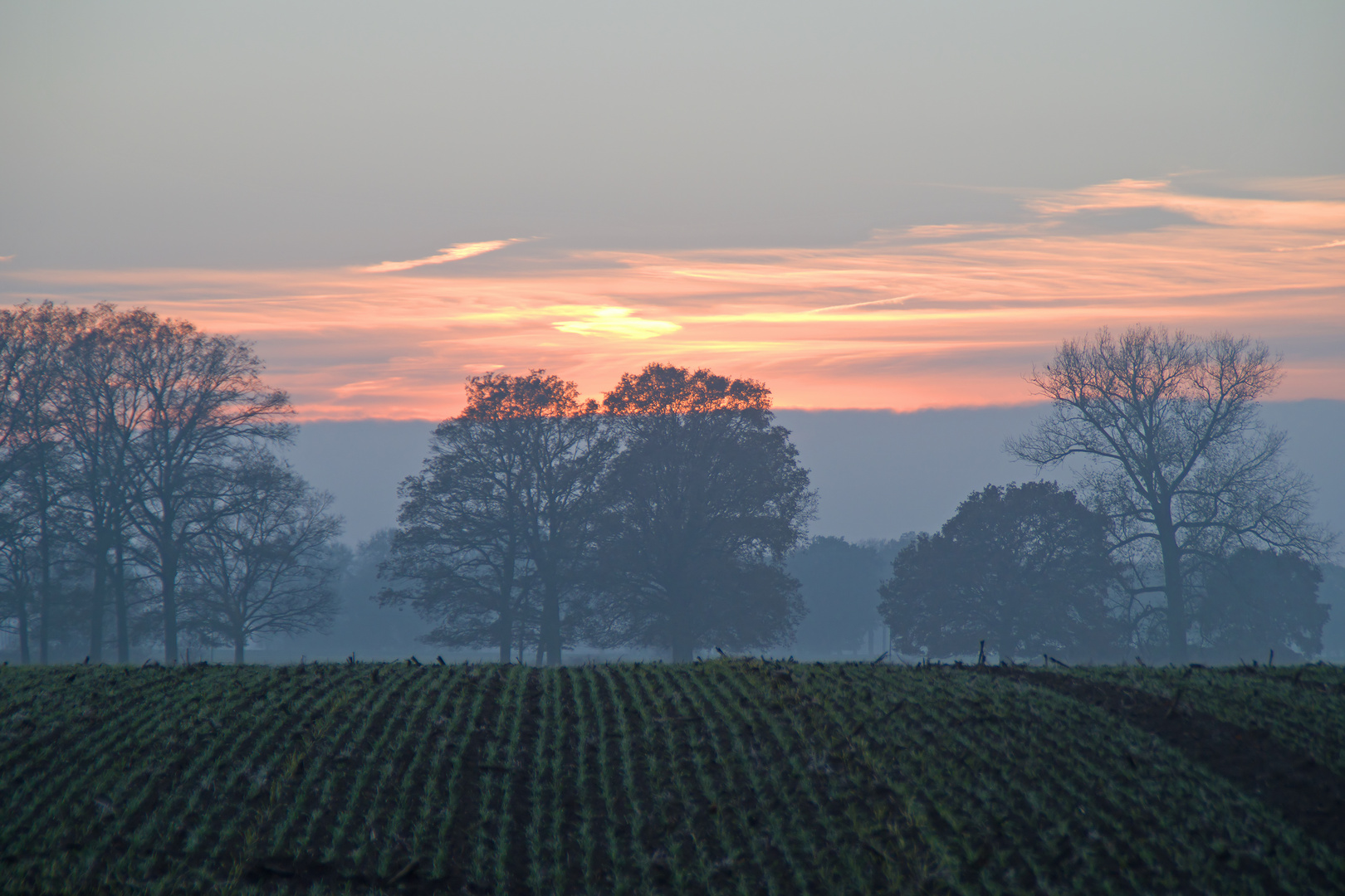 Der Abend kommt...Novemberblicke