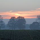 Der Abend kommt...Novemberblicke