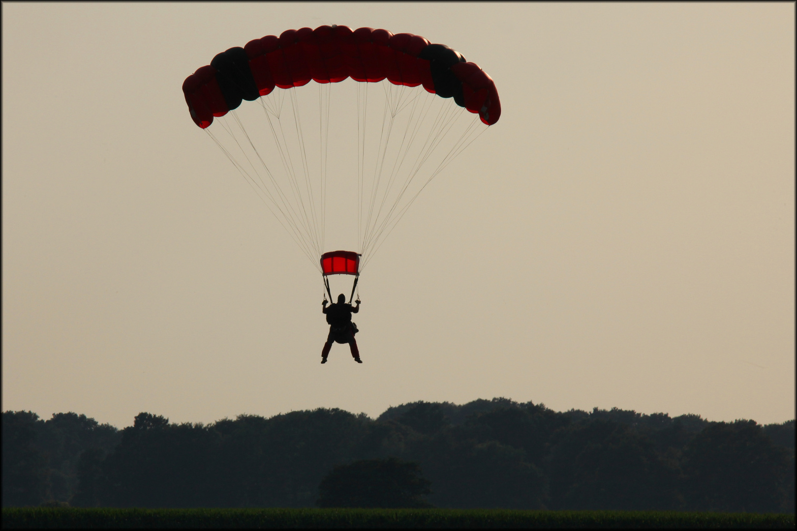 der Abendflug