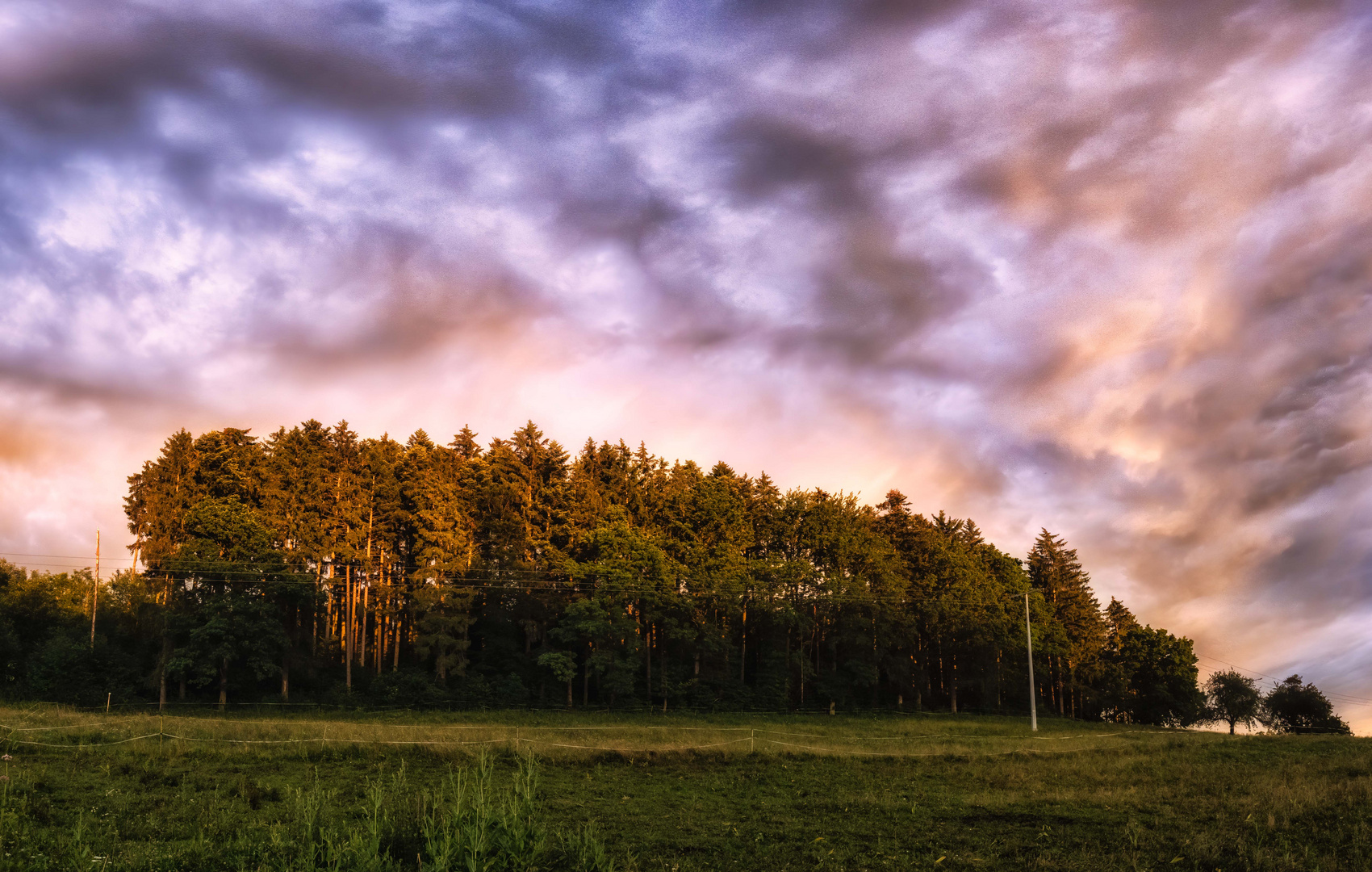 Der Abendhimmel hinter dem kleinen Wald