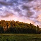 Der Abendhimmel hinter dem kleinen Wald