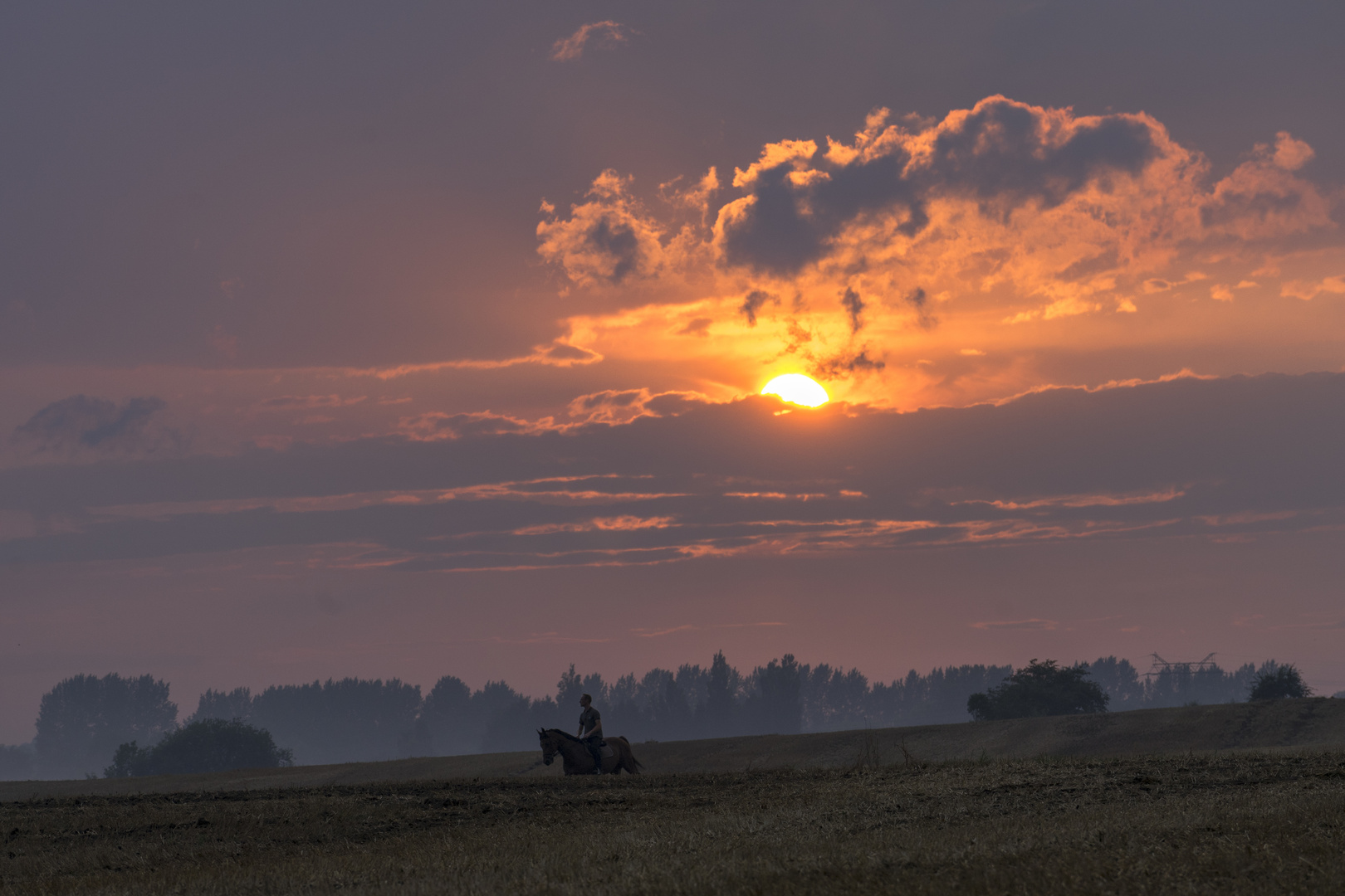 Der abendliche Reiter bei Wolgast 