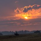 Der abendliche Reiter bei Wolgast 