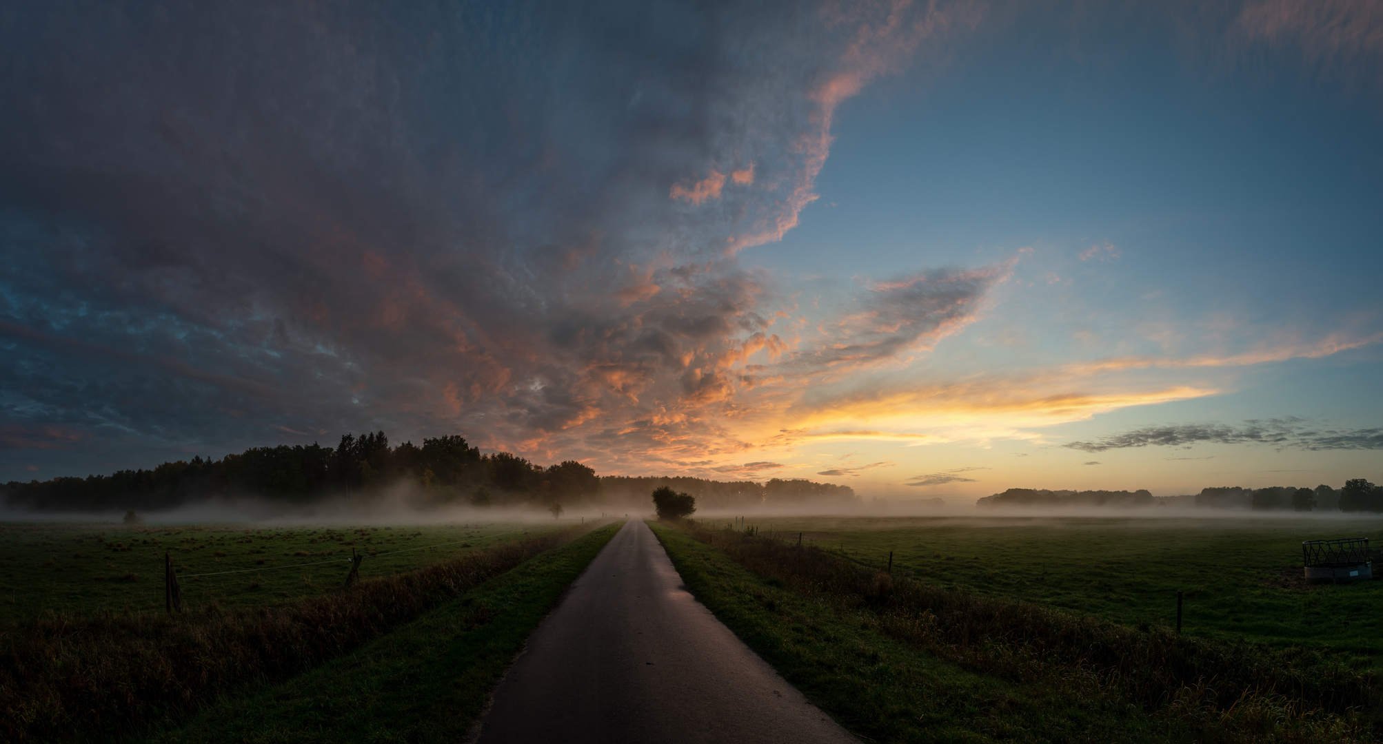 * Der Abendnebel *