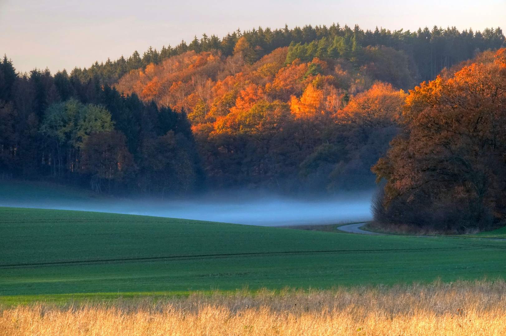 Der Abendnebel