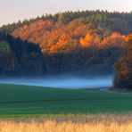 Der Abendnebel