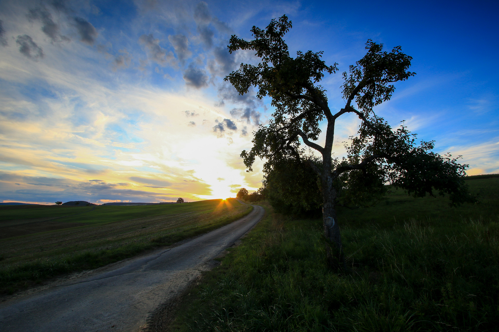 Der Abendsonne entgegen